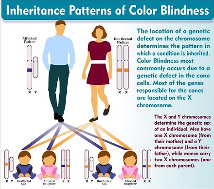 color blind glasses 16
